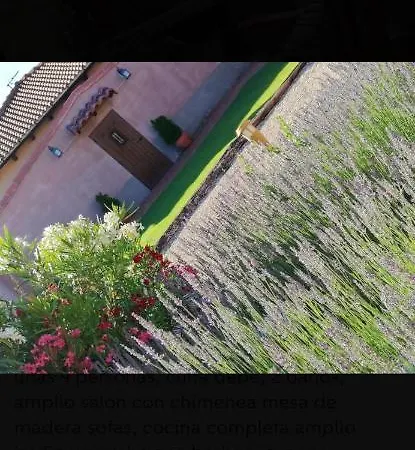 Family House In With Fenced Garden Holiday home