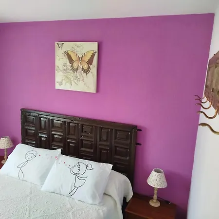 Family House In With Fenced Garden * Peral de Arlanza